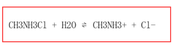 水解离子方程式 水解离子方程式