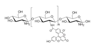 绿色葡聚糖 绿色葡聚糖