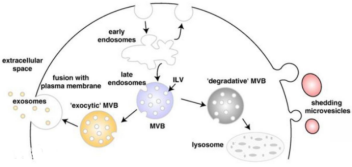 1594170879581885.png image.png