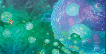 1594170883670464.png image.png