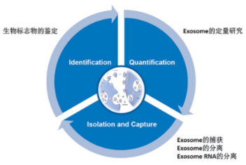 1594170914905421.png image.png