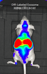 1594171083981761.png image.png