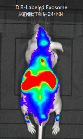 1594171089830846.png image.png