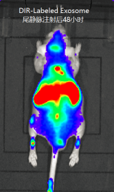 1594171094386877.png image.png