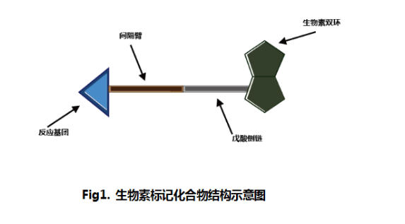 1603851051937224.png image.png