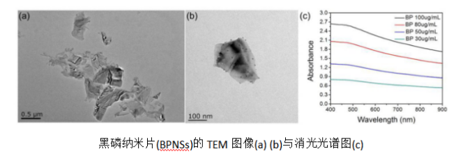 黑磷纳米片(BP NSs) 黑磷纳米片(BP NSs)