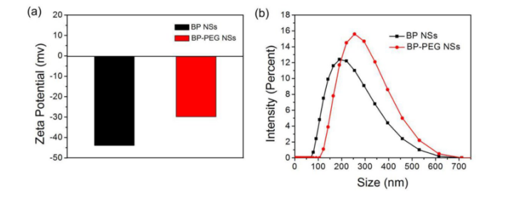 黑磷纳米片(BP NSs) 黑磷纳米片(BP NSs)