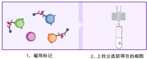 1611888393848472.png image.png