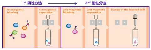 1611888417798341.png image.png