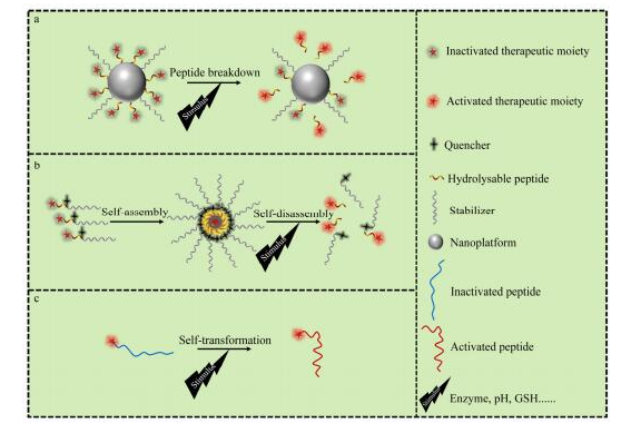 1615945870628252.png image.png