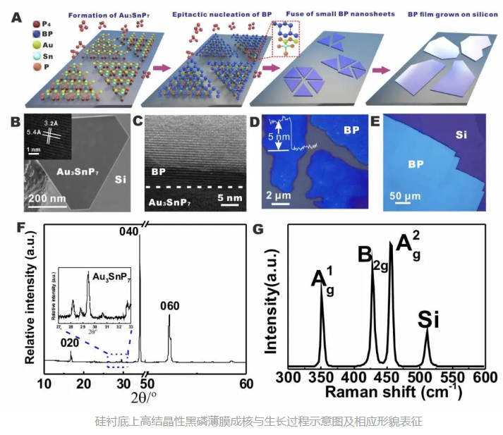 1619774098275739.png image.png