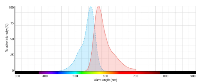 1646236117740566.png image.png