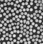 1646644531468731.png image.png