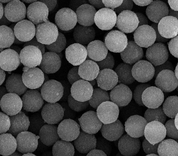 双酚A聚苯乙烯微球 (BPA@PS微球) .png 双酚A聚苯乙烯微球 (BPA@PS微球) .png