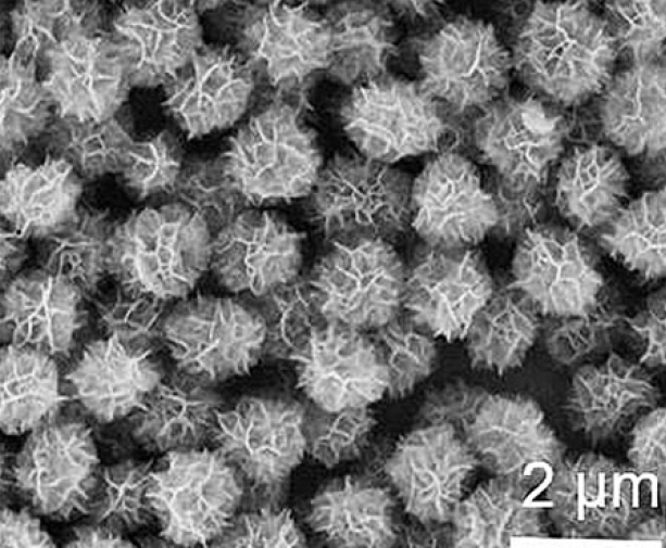 DNA nanoflower.png DNA nanoflower.png