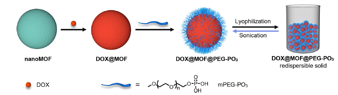 MOF载药.png MOF载药.png