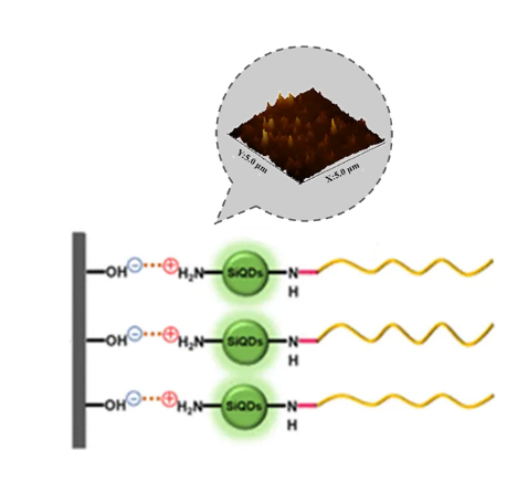 氨基修饰的黑磷量子.png 氨基修饰的黑磷量子.png