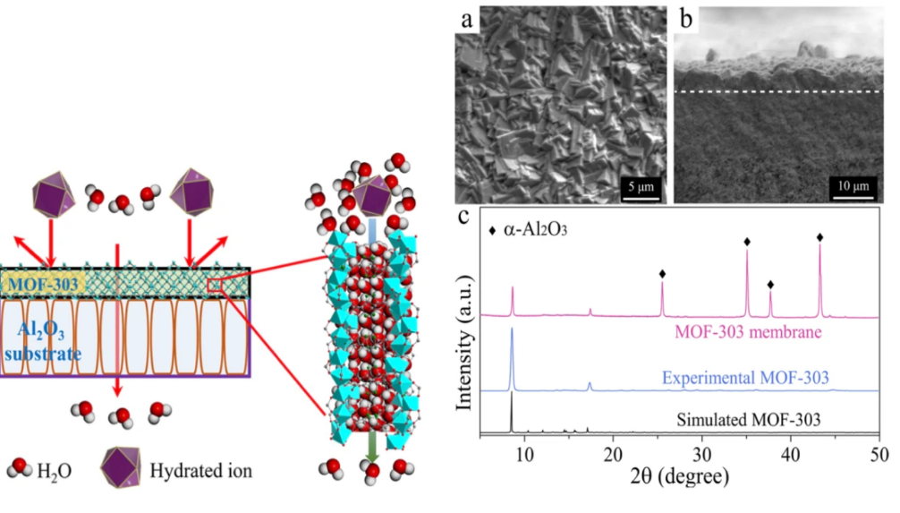 Al基MOF-303.png Al基MOF-303.png