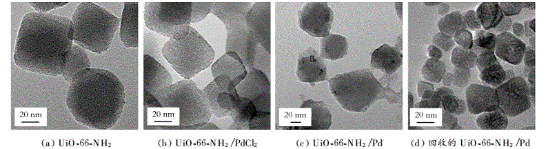 MOF|UIO-66-NH2 ,CAS:1260119-00-3金属有机框架负载Pd催化剂的合成与表征 MOF|UIO-66-NH2 ,CAS:1260119-00-3金属有机框架负载Pd催化剂的合成与表征