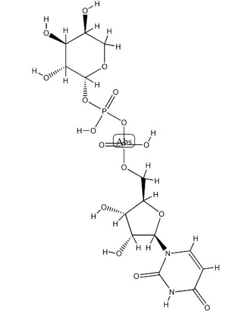 UDP-阿拉伯糖 UDP-阿拉伯糖