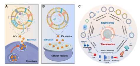 1653447536158055.png image.png