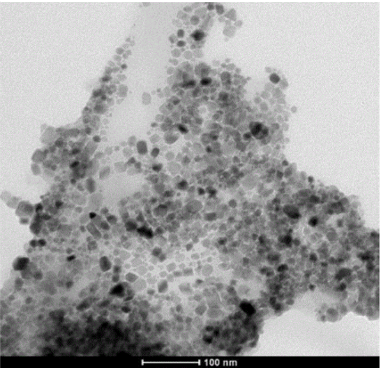 四氧化三铁纳米粒Fe3O4偶联多肽 四氧化三铁纳米粒Fe3O4偶联多肽