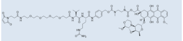 1661154114481857.png image.png