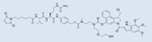 MC-vc-PAB-(PEG2)-duocarmycin TM MC-vc-PAB-(PEG2)-duocarmycin TM