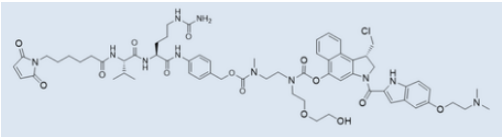 1661155043870088.png image.png