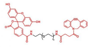 FITC-PEG-DBCO FITC-PEG-DBCO