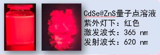 CdSe@ZnS量子点溶液 CdSe@ZnS量子点溶液