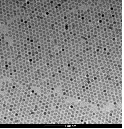 油溶性PbS/CdS量子点 油溶性PbS/CdS量子点