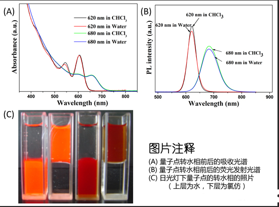水溶性量子点 水溶性量子点