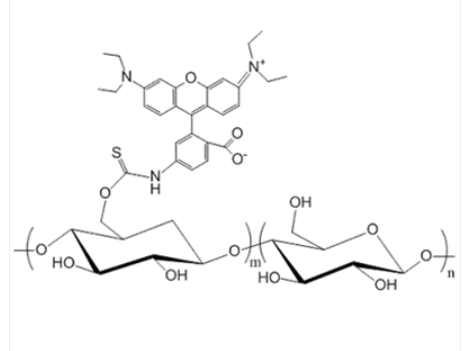 Dextran-Rhodamine Dextran-Rhodamine