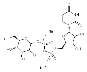 UDP-葡萄糖;尿嘧啶二磷酸葡萄糖;UDP-GLC, NA2;UDP-GLUCOSE DISODIUM SALT UDP-葡萄糖;尿嘧啶二磷酸葡萄糖;UDP-GLC, NA2;UDP-GLUCOSE DISODIUM SALT