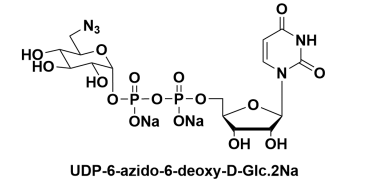 CAS:868141-12-2,UDP-6-N3-Galactose,UDP-6-叠氮-6-脱氧-D-半乳糖二钠盐 CAS:868141-12-2,UDP-6-N3-Galactose,UDP-6-叠氮-6-脱氧-D-半乳糖二钠盐