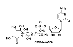 cas1955-26-6,UDP-L-Rhamnose,UDP鼠李糖 cas1955-26-6,UDP-L-Rhamnose,UDP鼠李糖