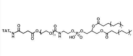 TAT-PEG-DSPE TAT-PEG-DSPE