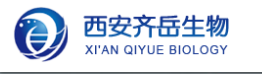 葡聚糖修饰Hrps共价三聚肽   葡聚糖修饰Hrps共价三聚肽