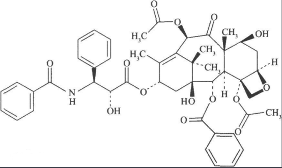 多巴胺修饰紫杉醇 多巴胺修饰紫杉醇