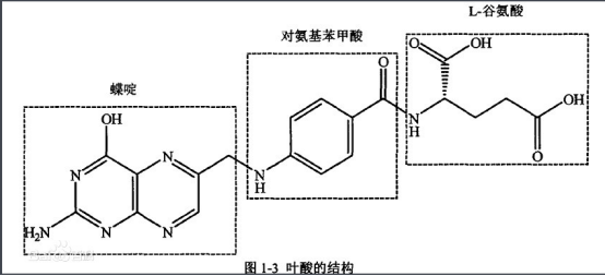 MTX-FA 甲氨蝶呤-叶酸 MTX-FA 甲氨蝶呤-叶酸