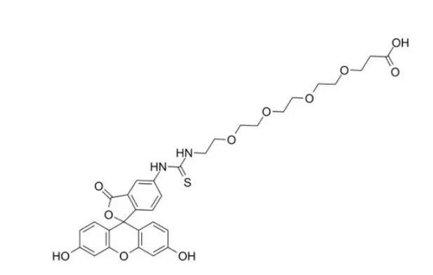 1675058513145512.png 1.png