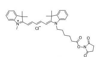 1675823372109489.png 1.png