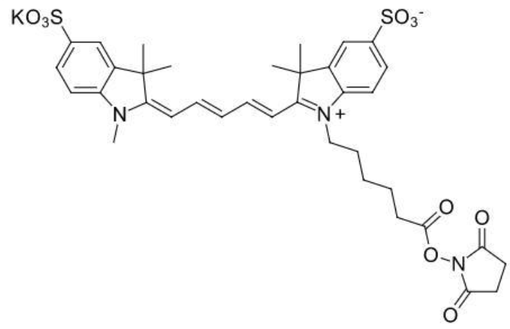 1675824812375492.png 1.png