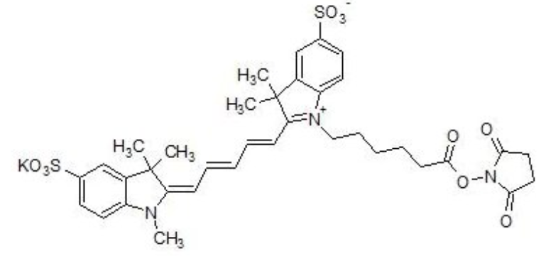 1675825406268734.png 1.png