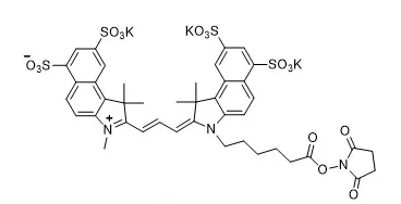 1675907633779928.png 1.png