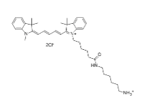 1676271685161866.png 1.png