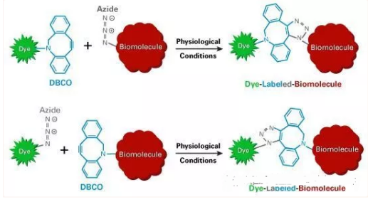 甲硝唑-聚乙二醇-二苯基环辛炔 甲硝唑-聚乙二醇-二苯基环辛炔