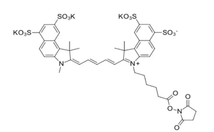 Sulfo-Cyanine5.5 NHS ester,Sulfo-Cy5.5 NHS酯,水溶性荧光染料,蓝色至深蓝色固体 Sulfo-Cyanine5.5 NHS ester,Sulfo-Cy5.5 NHS酯,水溶性荧光染料,蓝色至深蓝色固体