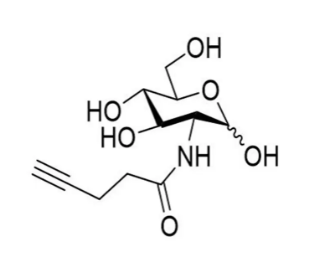 1030262-99-7,2-(4-戊炔酰氨基)-2-脱氧-D-吡喃葡萄糖,2-(4-pentynoylamino)-2-deoxy-D-glucopyranose 1030262-99-7,2-(4-戊炔酰氨基)-2-脱氧-D-吡喃葡萄糖,2-(4-pentynoylamino)-2-deoxy-D-glucopyranose